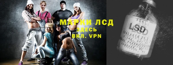 сатива Новокубанск