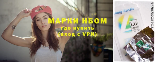 стафф Алзамай