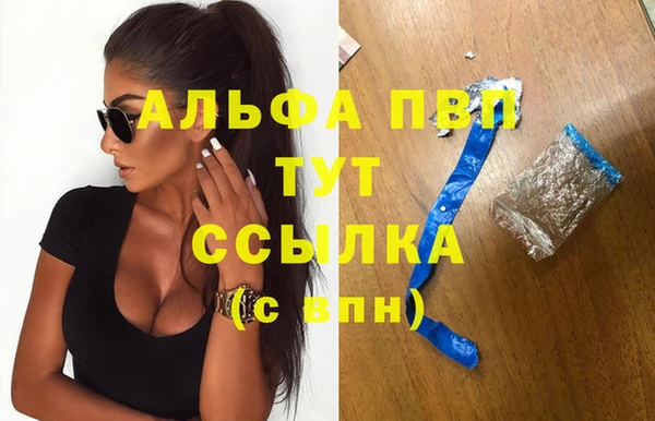 винт Алексин
