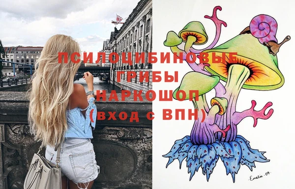 стафф Алзамай