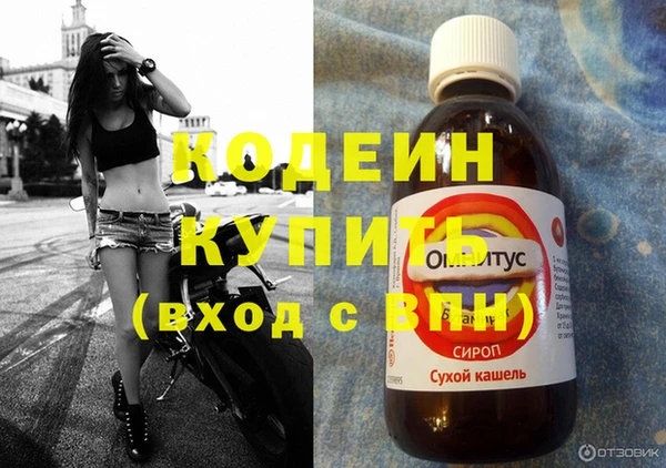 a pvp Новозыбков
