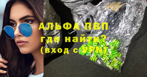 a pvp Новозыбков