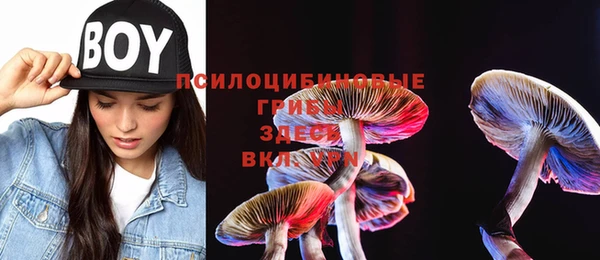 стафф Алзамай