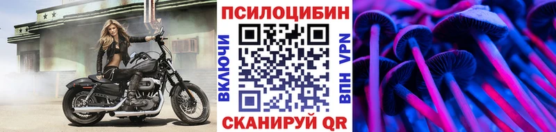 Галлюциногенные грибы прущие грибы  Сортавала 